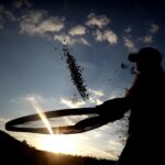 Brasil intensifica la búsqueda de nuevos mercados pese a reducción de aranceles de Trump